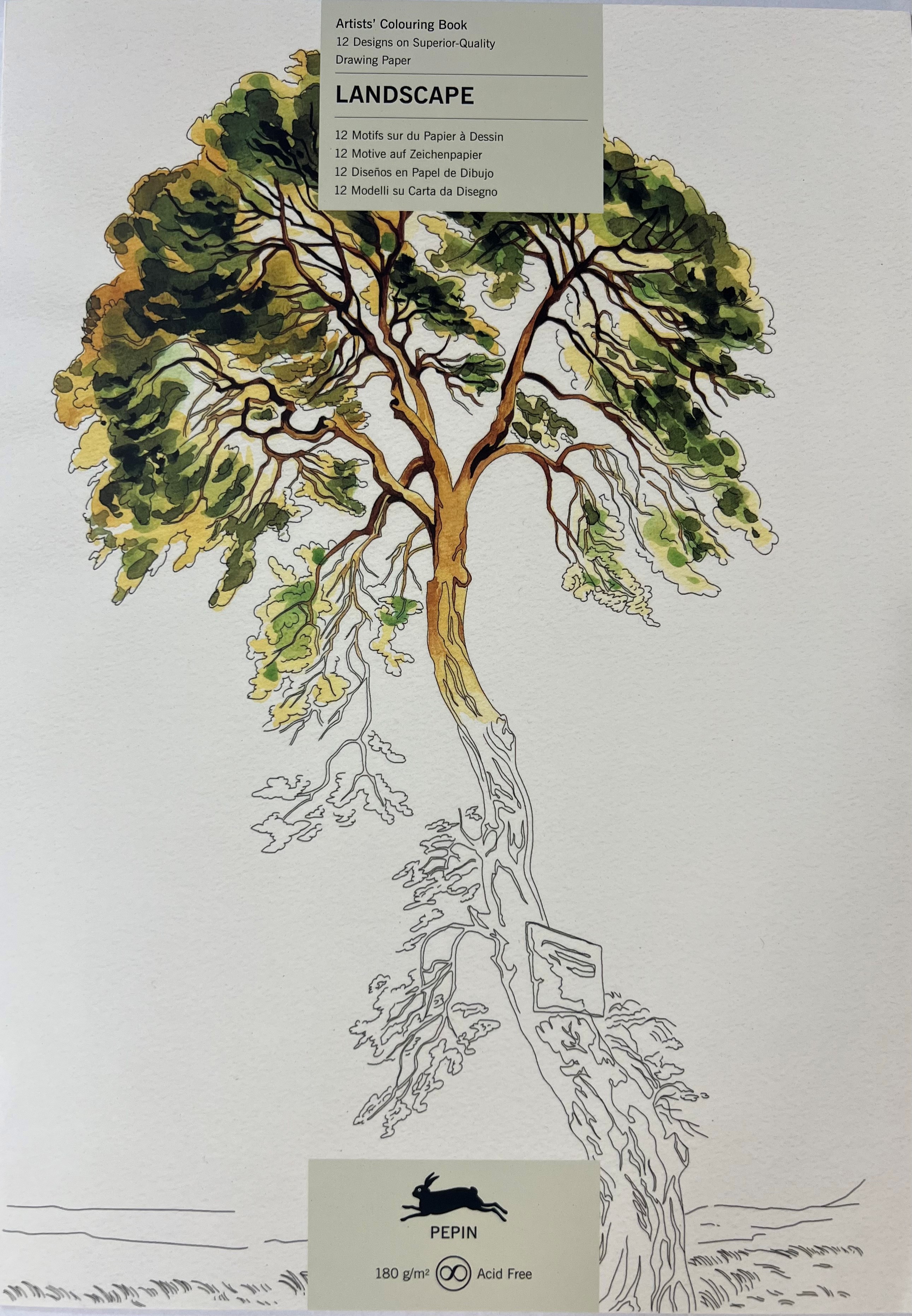 Landscape